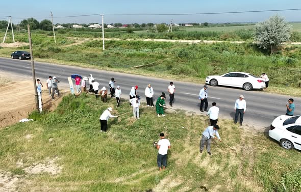 Түркістан: Жетісайда өткен тазалық шарасына 1800-ге жуық адам қатысты
