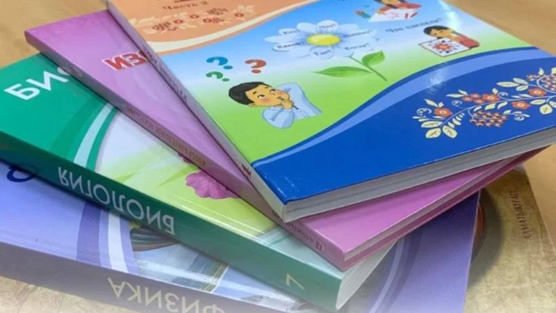 Какие школьные учебники обновят в Казахстане